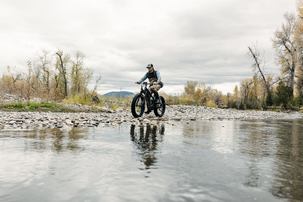 electric bike for fishing