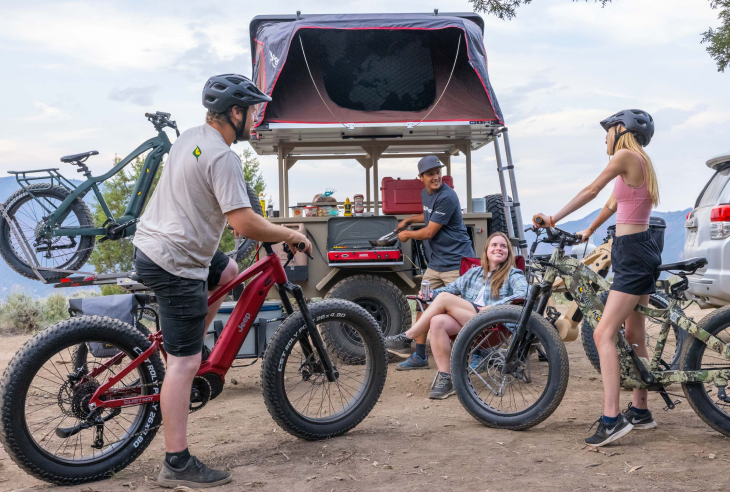 quietkat apex ebike on a picnic 