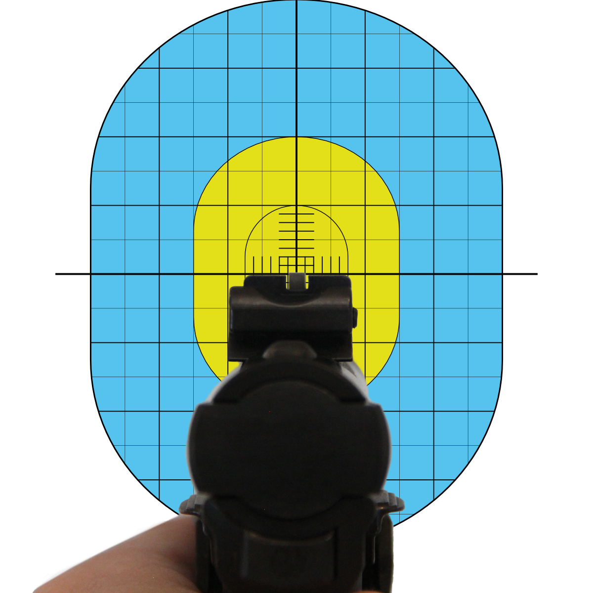 Ruger Sights on Reactive Target