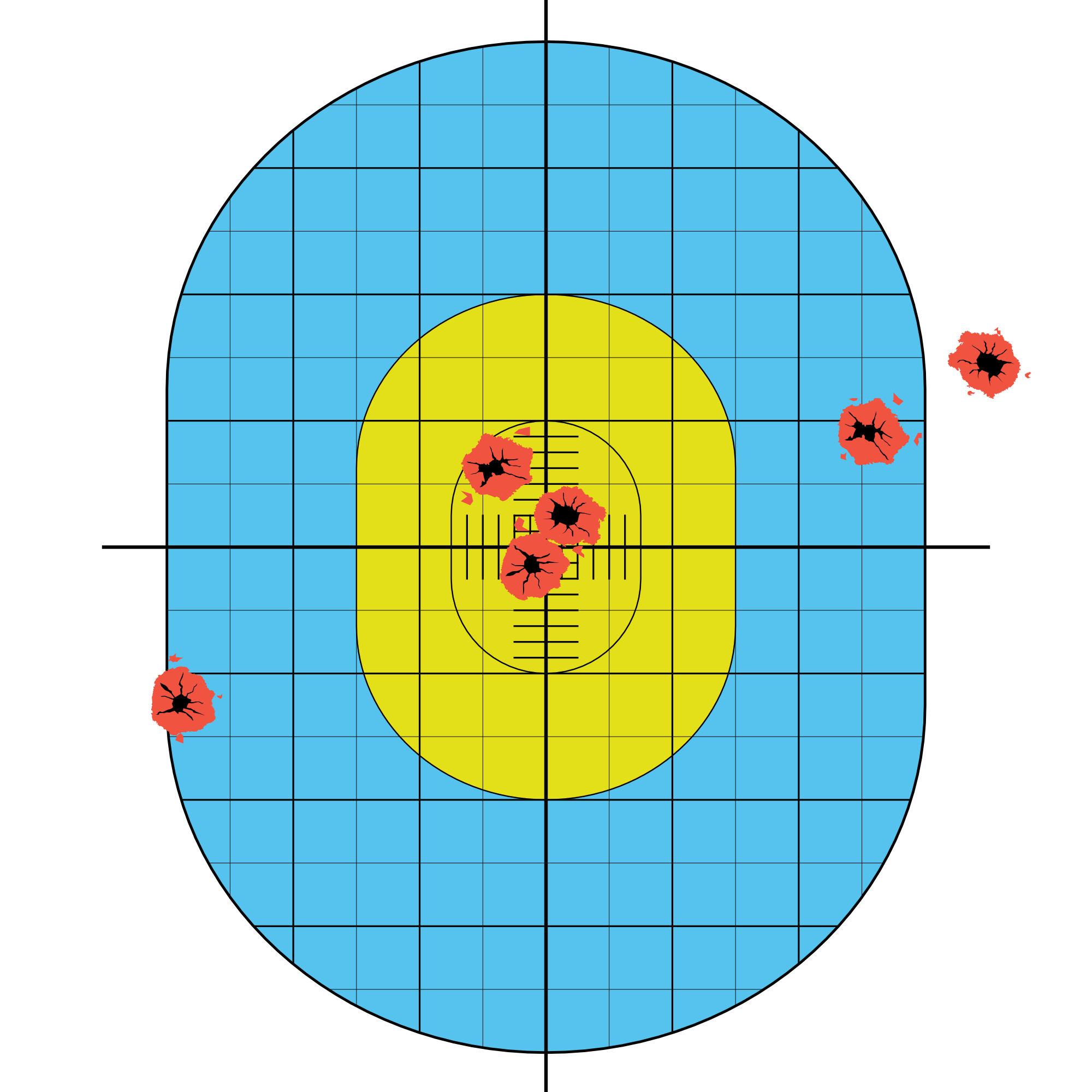 shoot nc style precision target