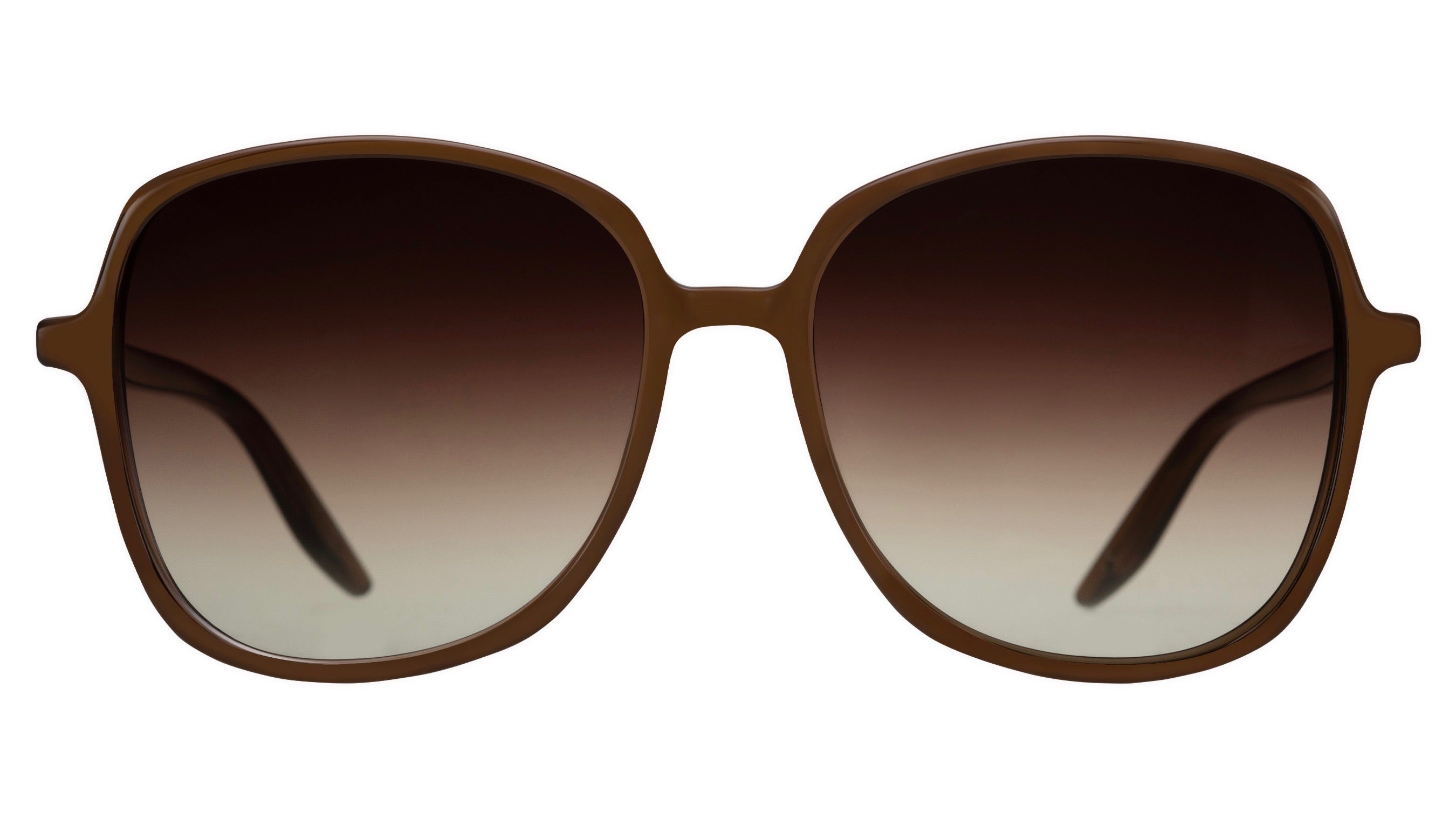 Barton Perreira Donyale - Clove | Sunglasses | Black Optical