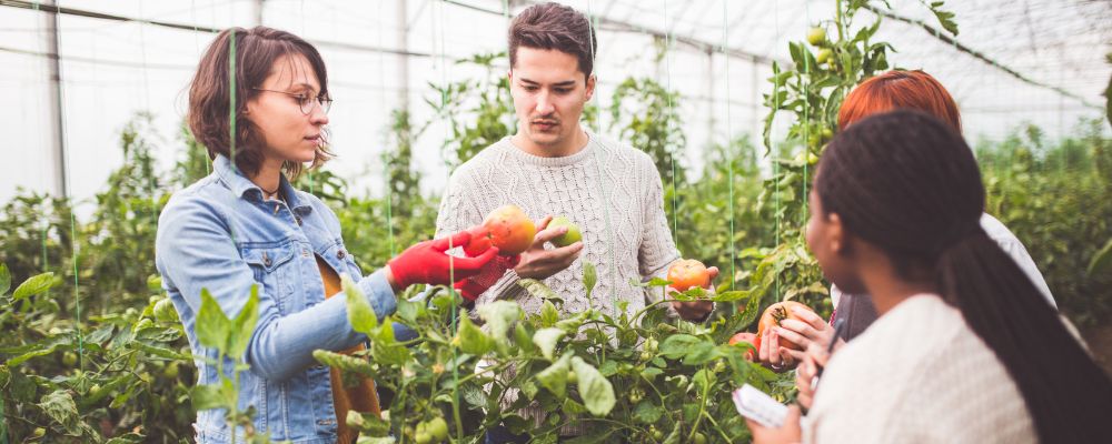 agriculture workers with safety gloves