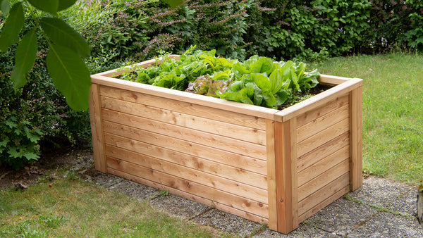 Raised bed kit larch "Comfort"