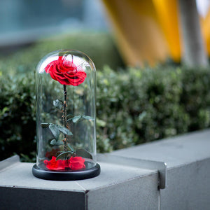 Forever Rose in Cloche | Preserved Rose Keepsake | Miei.