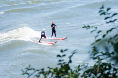 Surf Montreal Habit 67