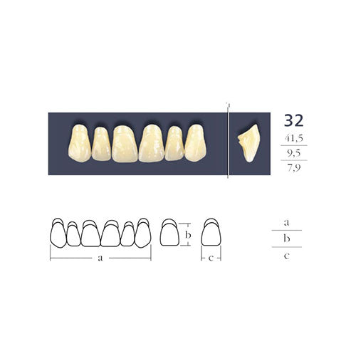Zähne-neun