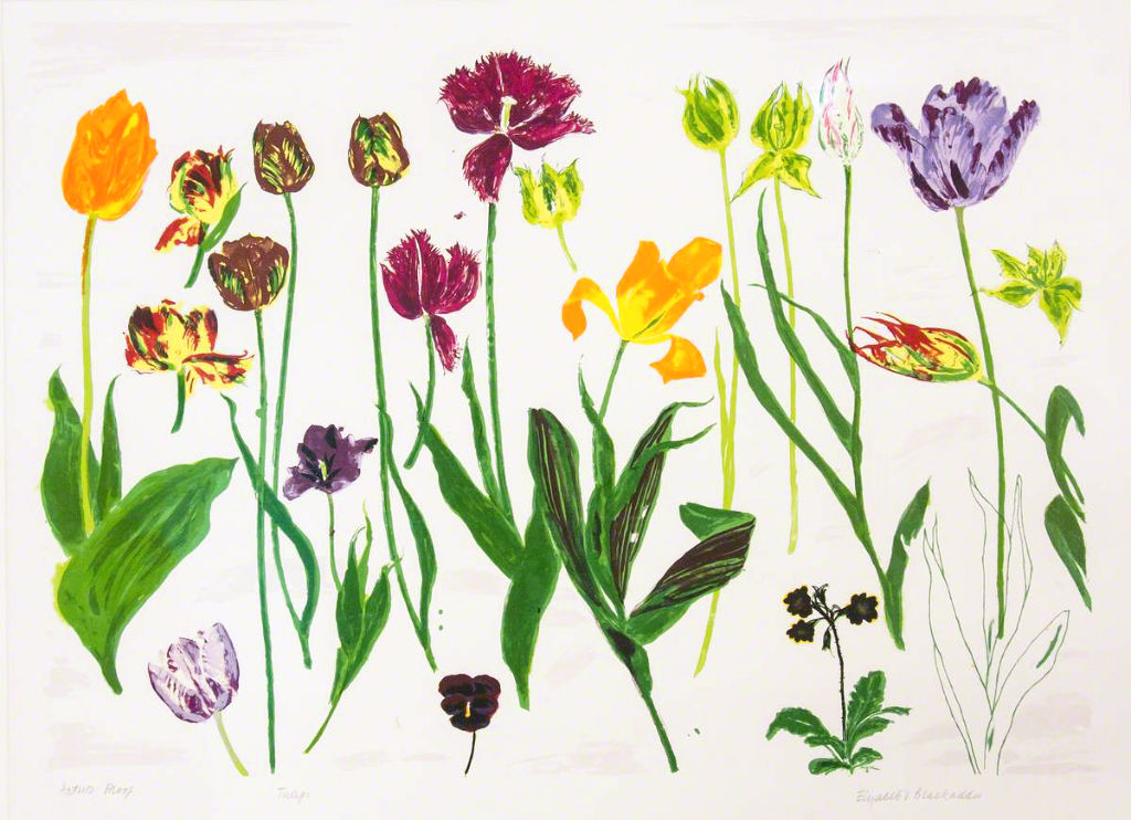 Painting by Elizabeth Blackadder,