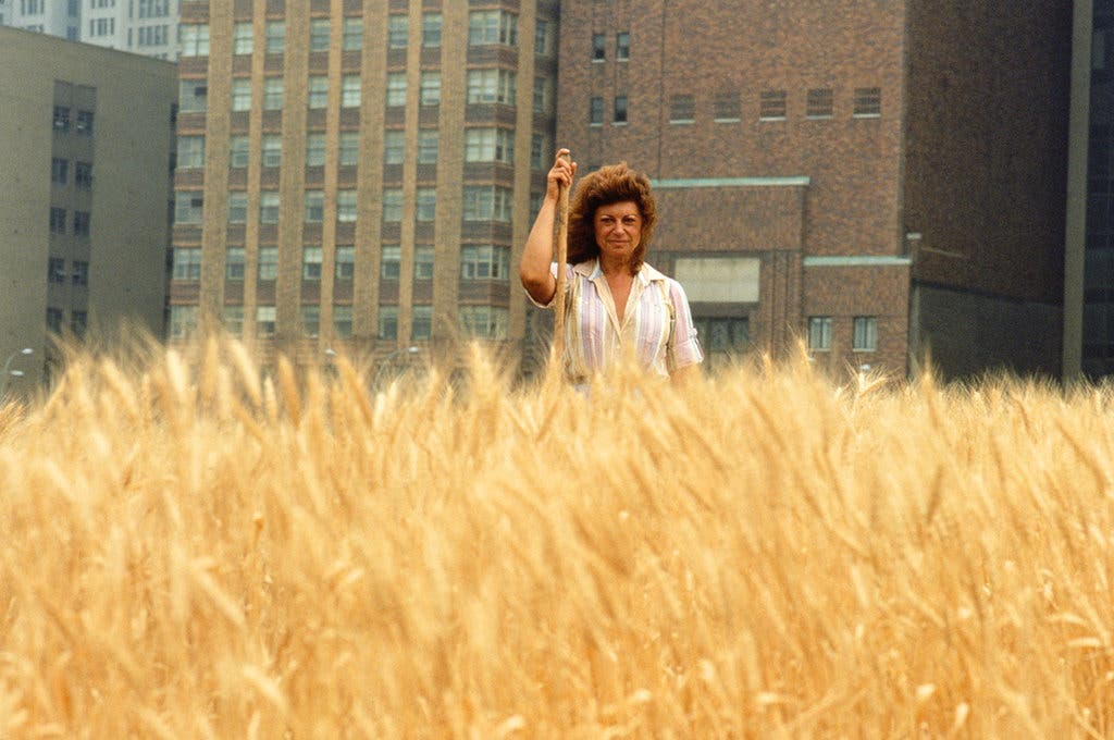 “Wheatfield – A Confrontation: Battery Park Landfill, Downtown Manhattan – With Artist in the field,” 1982.Credit...John McGrail, courtesy Leslie Tonkonow Artworks + Projects