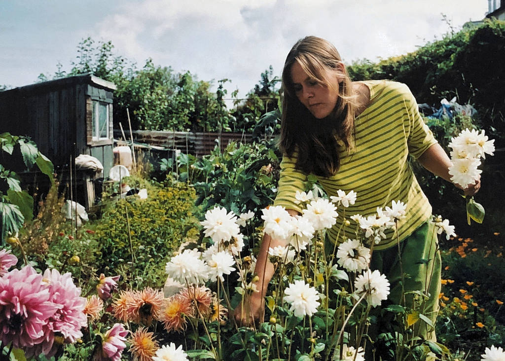 Artist joanne Short on her allotment on Falmouth, Cornwall collecting home grown flowers to paint