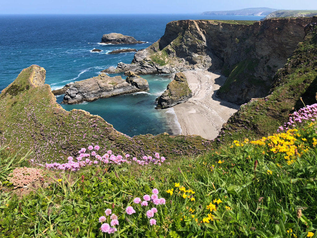 Cornish clifftop between Godrevy and Porthtowan