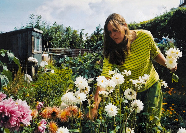 Cornish artist Joanne Short picking flowers from her allotment in Falmouth to paint.