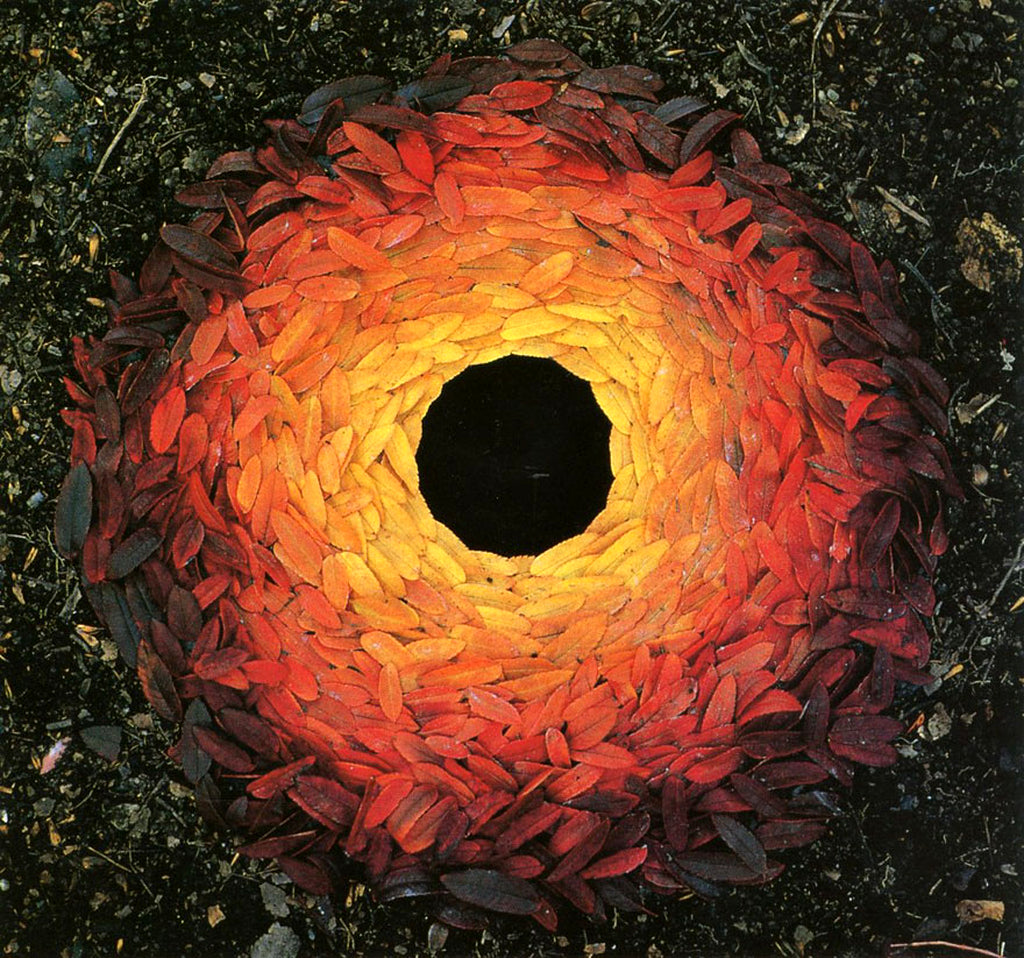 Andy Goldsworthy leaf art