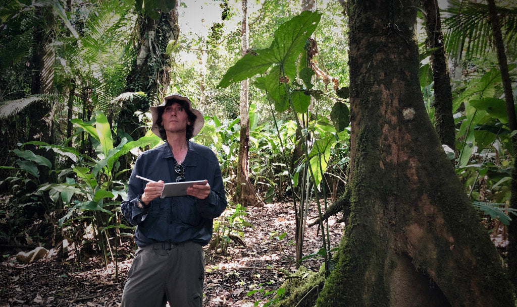 John Dyer at work painting the Amazon Rainforest using an iPad mini and the app Procreate in June 2019