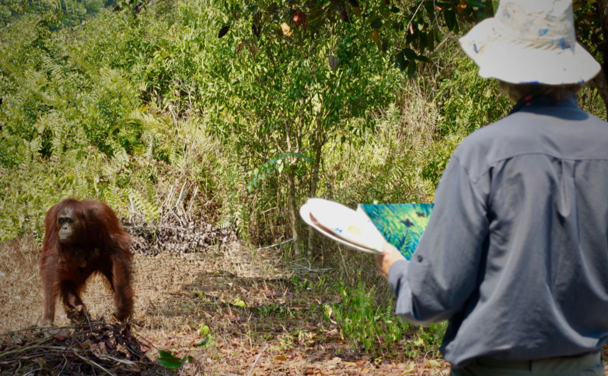 Artist John Dyer painting wild orangutans in the rainforest of Borneo