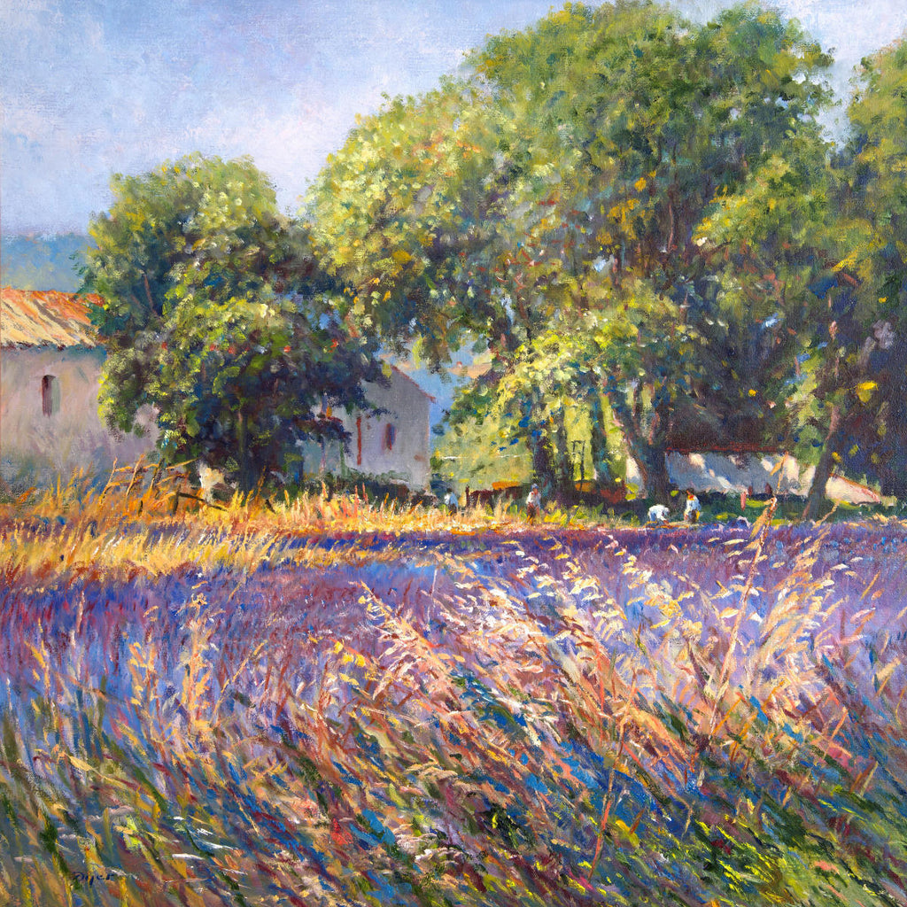 Ted Dyer print - Lavender time, Provence