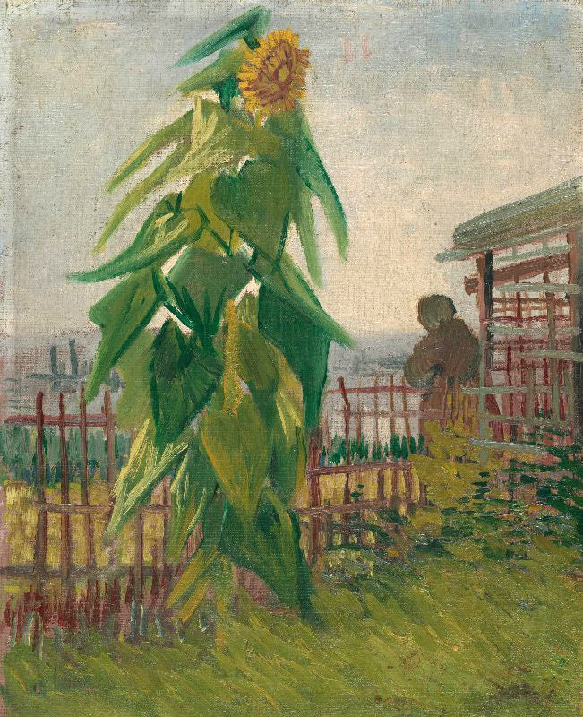 painting 'Allotment with Sunflower' by Vincent Van Gogh