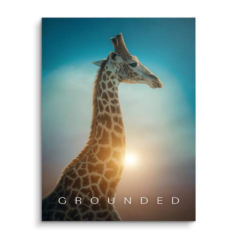 Motivationsbild mit Giraffe fürs Büro by ARTMIND