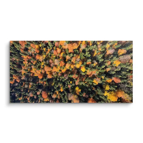 Wall mural - Forest Top View