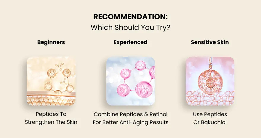 Recommendation Which Should You Try