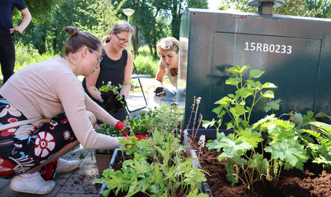 Buurtbewoners vullen samen met Green Up The City containertuintjes met biologische tuinplanten.