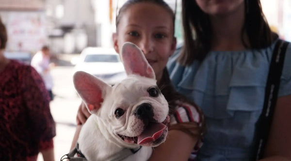 are French Bulldogs good with kids
