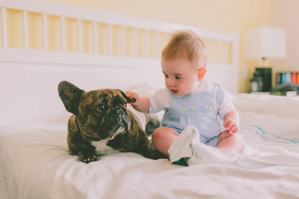 are French Bulldogs good with kids