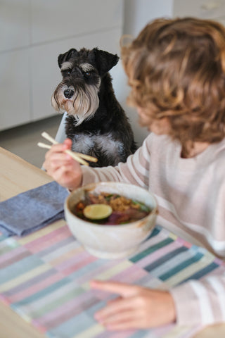 Boy eating ramen and looking at dog