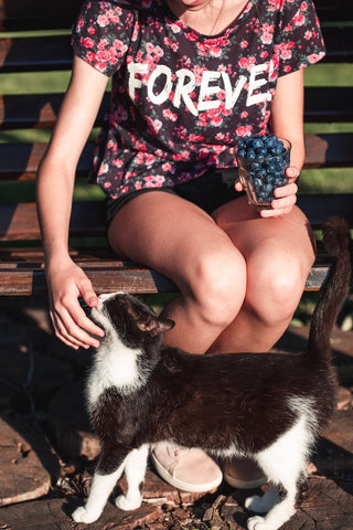 Mädchen hält Tasse voller frischer Blaubeeren in der Hand und spielt mit Katze