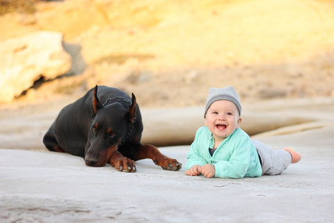 Happy baby boy and big black dog Doberman