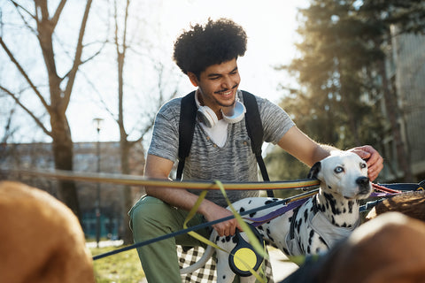 Happy man cuddling Dalmatian during dog walking in the park.