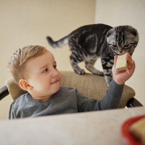 Kleiner Junge teilt Futter mit Katze
