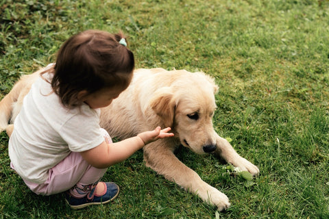 Little cute girl with a Labrador dog in nature