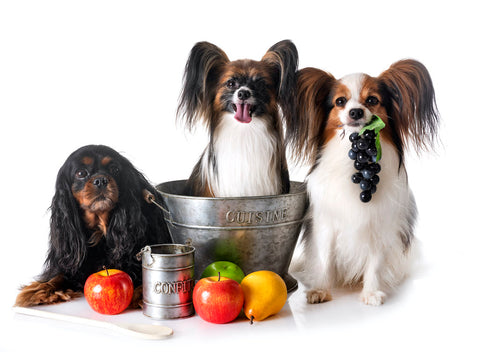 little dogs and some fruits