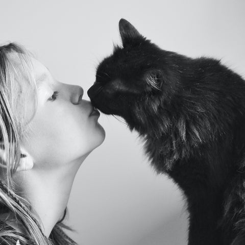 Love between human and a cat