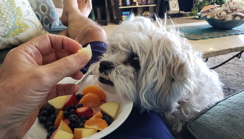 Mann isst Obst und Hund zeigt Emotionen.