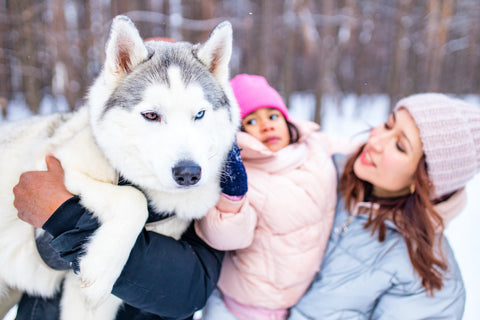 Eine gemischtrassige Dreierfamilie verbringt die Neujahrsferien im Park mit ihrem Husky