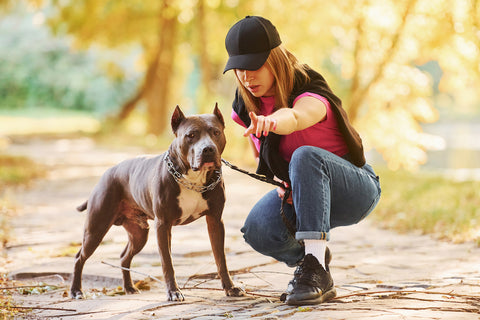 A woman in casual clothes is with a pitbull outdoors