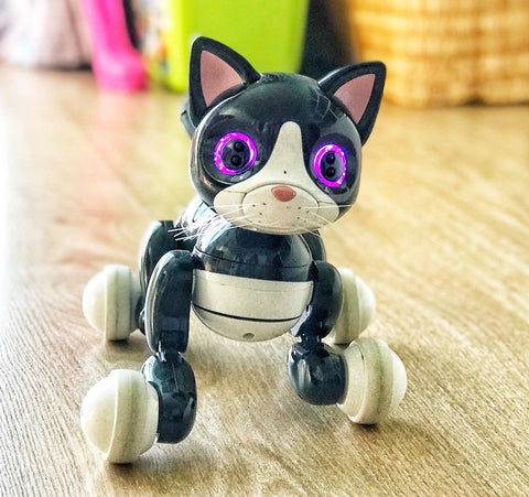 black and white cute robot cat