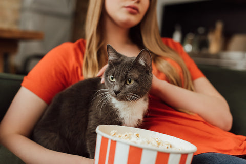 Selektiver Fokus der süßen Katze in der Nähe einer jungen Frau und eines Popcorn-Eimers