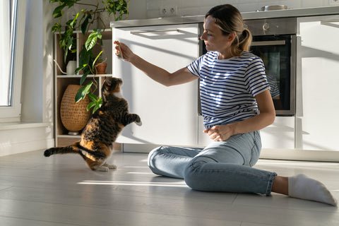 Young casual woman owner takes care of cat sits on floor in kitchen of bright apartment