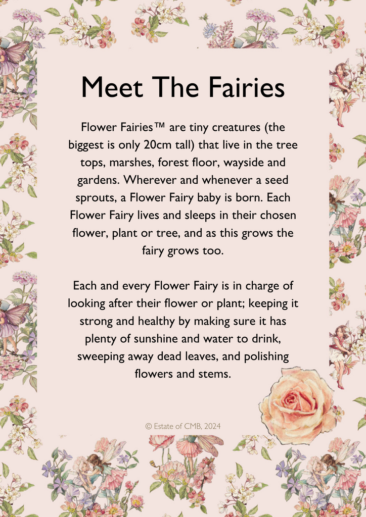 Fairy Tong x Flower Fairies