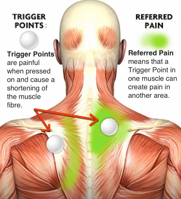 shoulder blade muscle knots