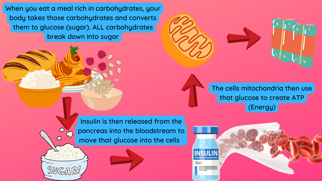 Getting Into Ketosis In 24 Hours