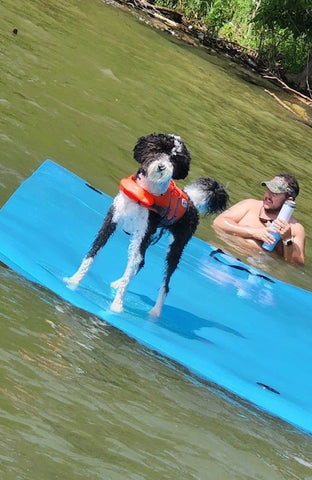 floating mat with dog