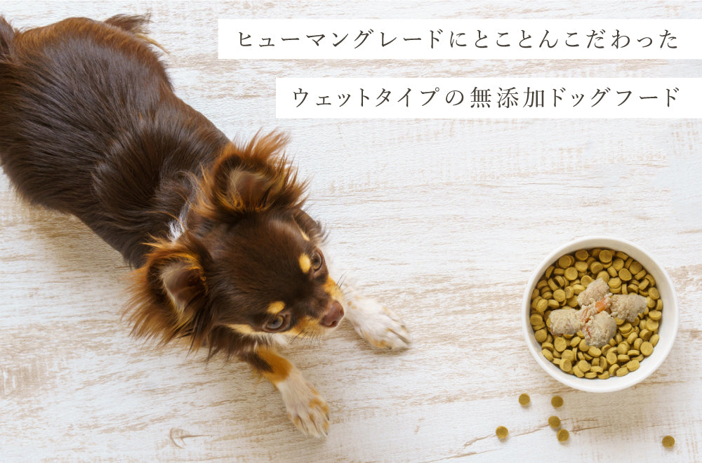 犬おかし