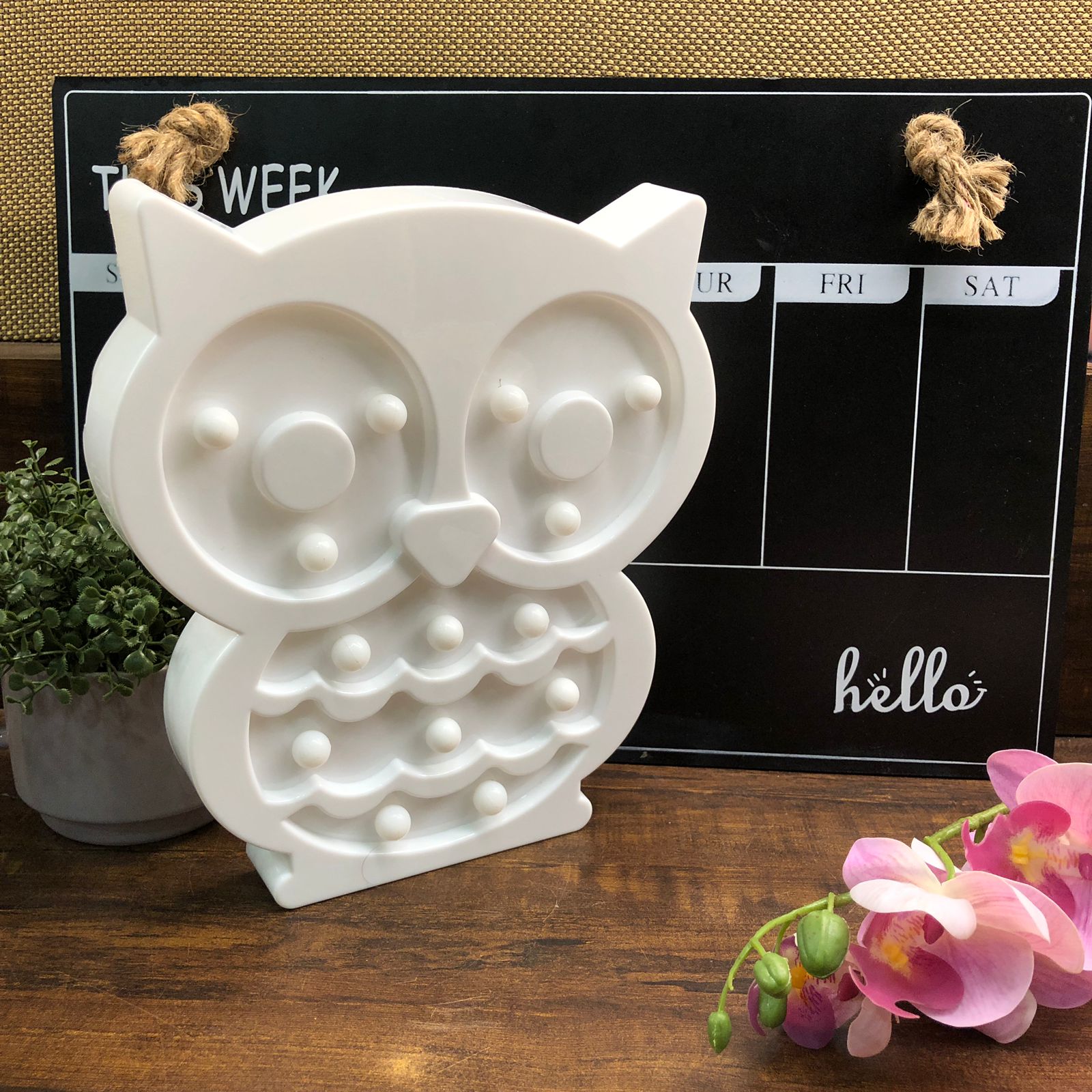 white owl night light