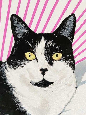 Cat Portrait by Chris Chun
