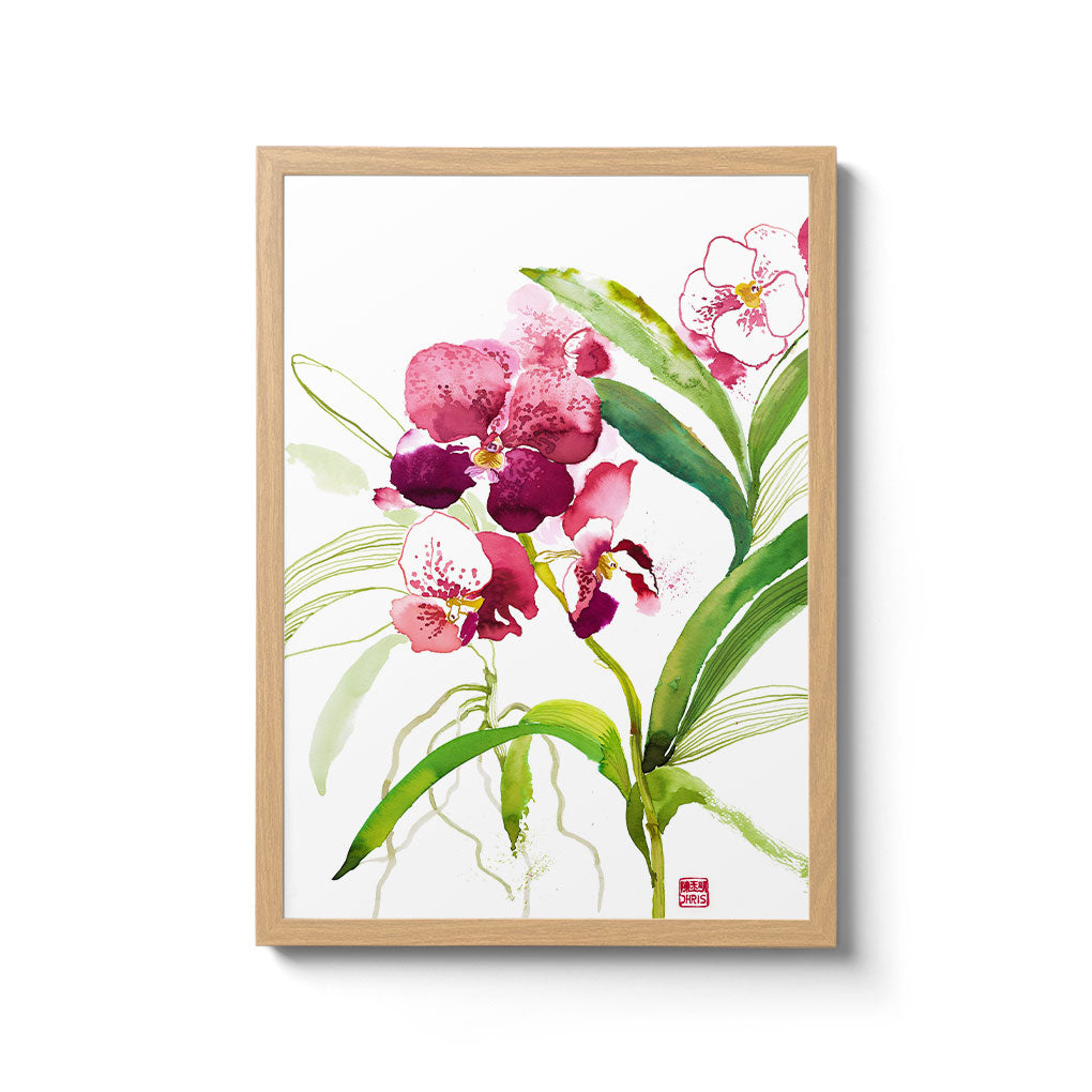 Orchid Art Prints and Wall Art by Artist Chris Chun