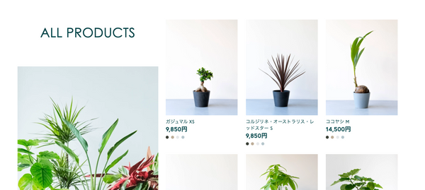 Shopify and plants 商品画像
