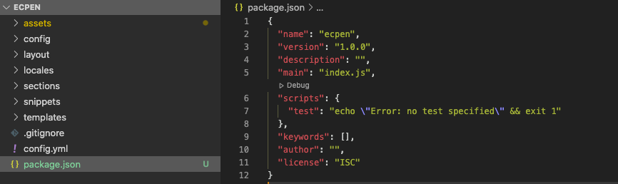 Shopify package.json 